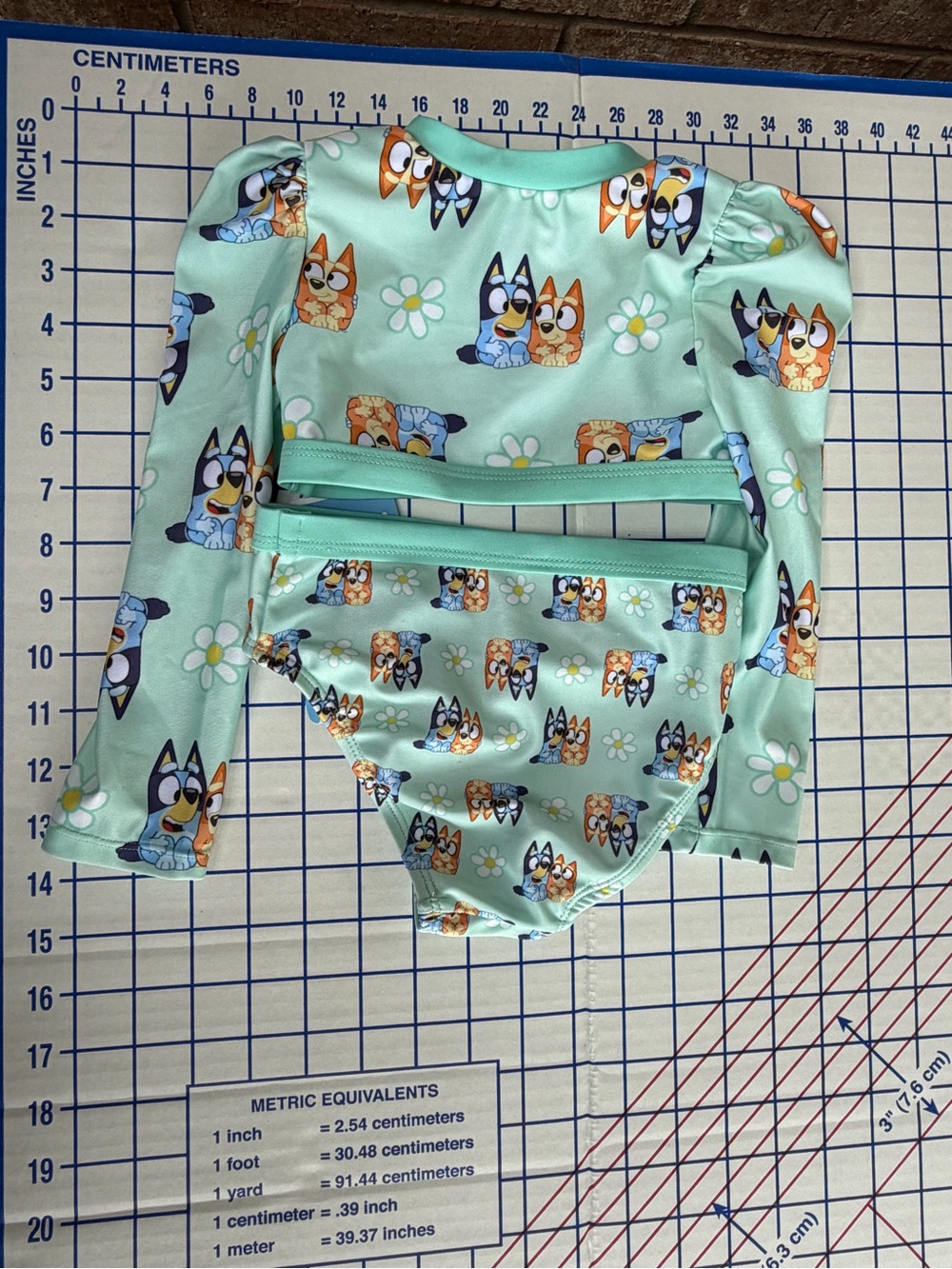 Kids Bluey Mint Green Two-Piece Swim Set - Mint Green - Picture 4 of 4